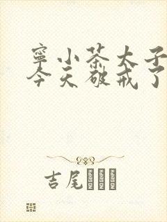 宁小茶太子殿下今天破戒了吗免费阅读封面