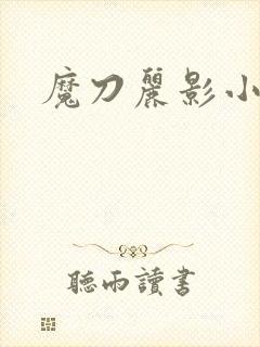 魔刀丽影小说