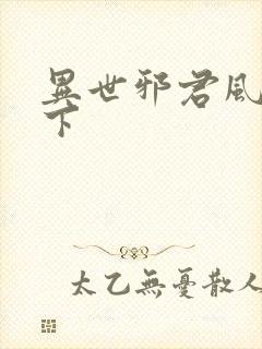 异世邪君风凌天下