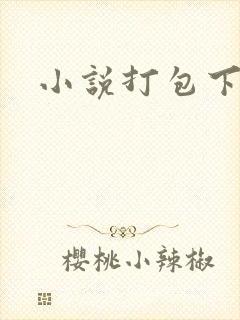 小说打包下载