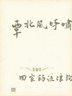 西北风呼啸的中午