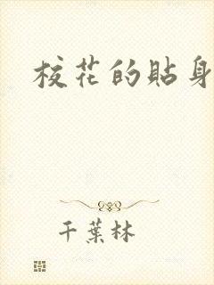 校花的贴身杀手封面