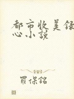 都市收美录宁素心小说