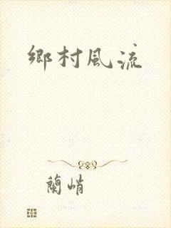 乡村风流封面