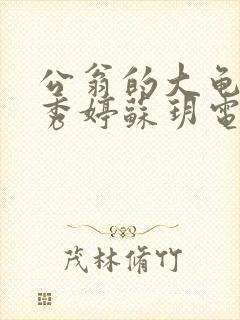 公翁的大龟挺进秀婷苏玥电影