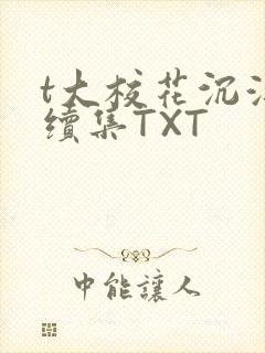 t大校花沉浮录续集TXT
