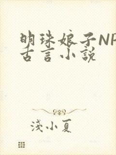 明珠娘子NPC古言小说