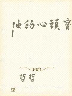 他的心头宝1v1封面