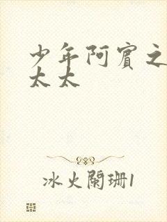 少年阿宾之房东太太