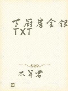 下厨房金银花露 TXT