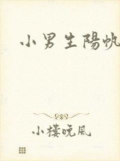 小男生阳帆封面