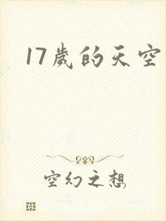 17岁的天空