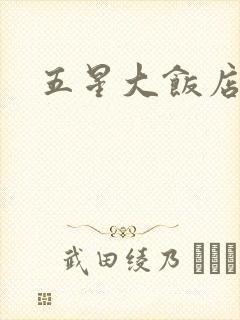 五星大饭店小说
