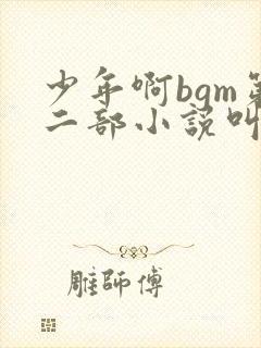 少年啊bgm第二部小说叫什么