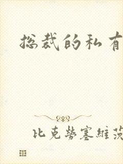 总裁的私有宝贝