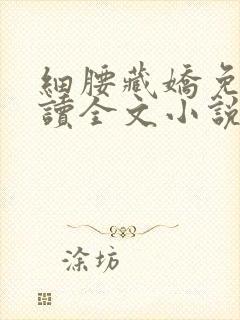 细腰藏娇免费阅读全文小说苏珞浅封面