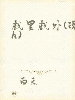 戏里戏外(现场h)