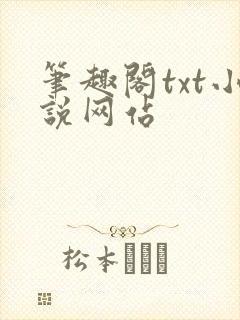 笔趣阁txt小说网站
