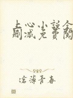 上心小说全文无删减免费阅读封面