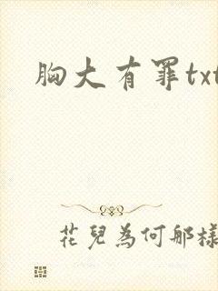 胸大有罪txt