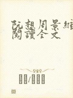 阮想周景维免费阅读全文