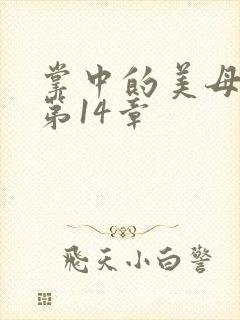 掌中的美母版主第14章