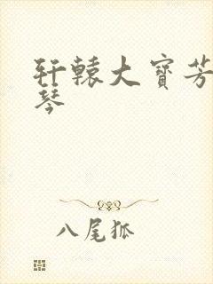 轩辕大宝芳菲雅琴