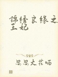 锦绣良缘之北地王妃