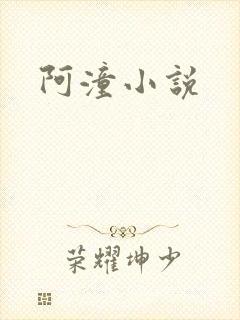 阿潼小说封面