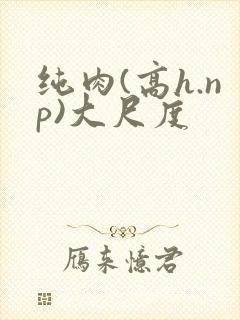 纯肉(高h.np)大尺度封面