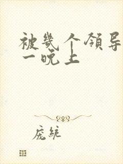 被几个领导玩弄一晚上