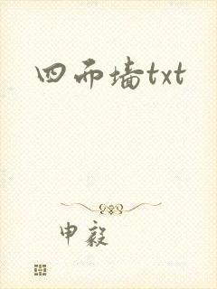 四面墙txt