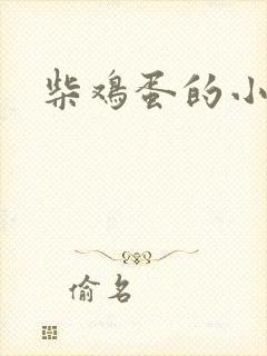 柴鸡蛋的小说
