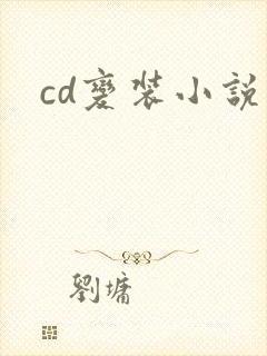 cd变装小说封面