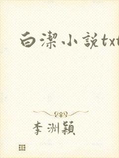 白洁小说txt
