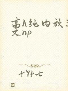 高h纯肉放荡h文np