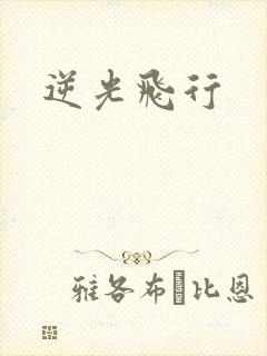 逆光飞行