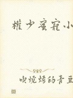 权少蜜宠小娇妻