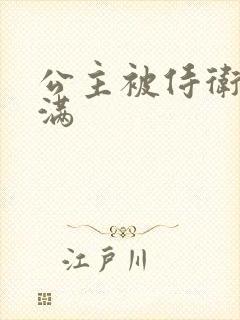 公主被侍卫填的满封面