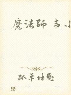 魔法师 韦小宝封面