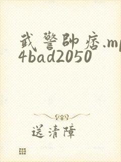 武警帅痞.mp4bad2050