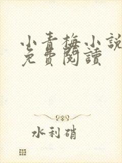 小青梅小说全文免费阅读