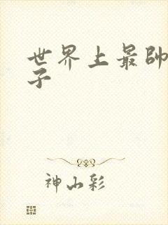 世界上最帅的虫子封面