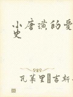 小唐璜的爱情历史