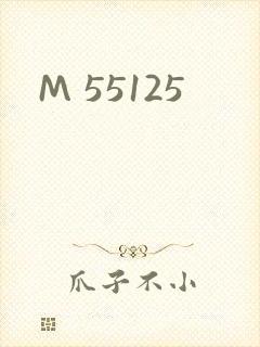 M 55125封面
