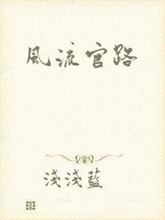 风流官路