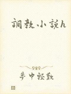 调教小说h封面
