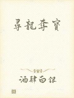 寻龙夺宝