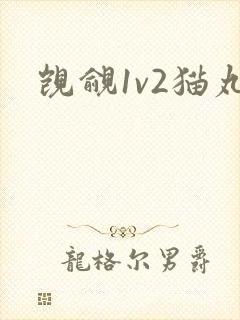 觊觎1v2猫丸封面