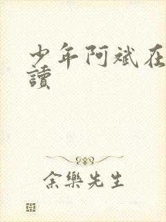 少年阿斌在线阅读封面